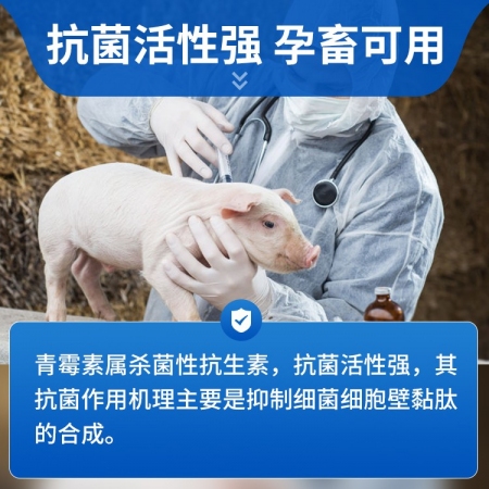 【豬大夫】400萬單位注射用青霉素鈉 獸用 豬馬牛羊雞鴨貓狗消炎