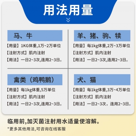 【豬大夫】400萬單位注射用青霉素鈉 獸用 豬馬牛羊雞鴨貓狗消炎