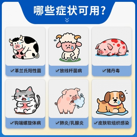 【豬大夫】400萬單位注射用青霉素鉀 獸用 豬馬牛羊雞鴨貓狗消炎