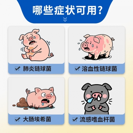 【豬大夫】阿莫西林鈉1g注射用 獸用 雞鴨鵝豬馬牛羊肺炎抗菌消炎