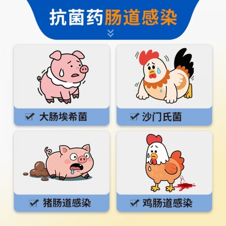 【豬大夫】10%硫酸黏菌素可溶性粉 國標 拉稀 仔豬黃白痢 腹瀉 腸炎 副傷寒 過奶止痢