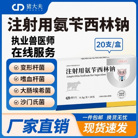 【豬大夫】注射用氨芐西林鈉0.5g 獸用 豬牛羊雞用拉稀大腸桿菌