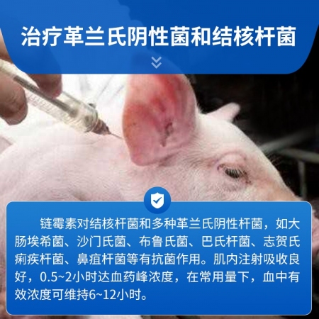 【豬大夫】100萬單位注射用硫酸鏈霉素 獸用 豬牛羊雞鴨結核桿菌