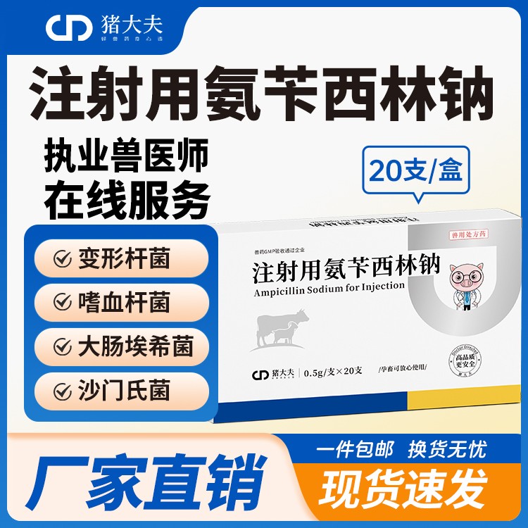 【豬大夫】注射用氨芐西林鈉0.5g 獸用 豬牛羊雞用拉稀大腸桿菌