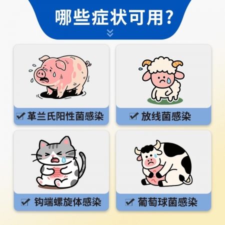 【豬大夫】注射用普魯卡因青霉素400萬單位 獸用  豬馬牛羊放線菌