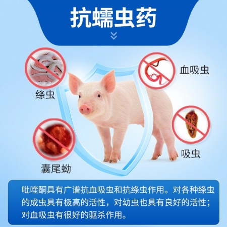 【豬大夫】100片吡喹酮片 獸用 畜禽蠕蟲吸血蟲絳蟲囊尾蚴病
