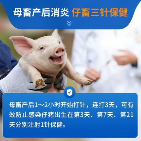 【豬大夫】1g注射用頭孢噻呋鈉 獸用 畜禽呼吸道感染胸膜肺炎