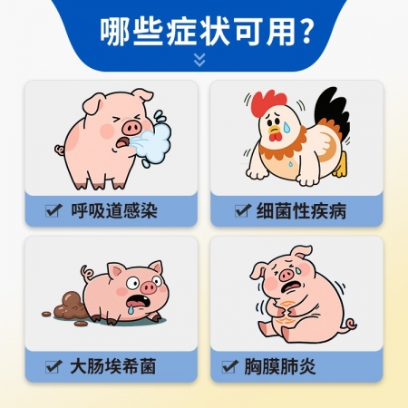 【豬大夫】1g注射用頭孢噻呋鈉 獸用 畜禽呼吸道感染胸膜肺炎