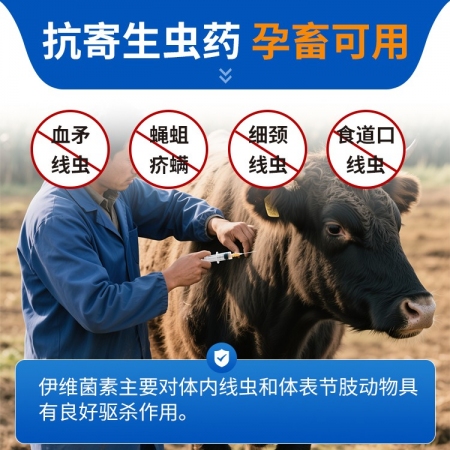 【豬大夫】100ml伊維菌素注射液 獸用 家畜豬牛羊線(xiàn)蟲(chóng)螨蟲(chóng)抗寄生