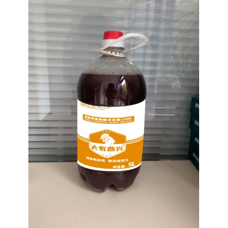 【大有鼎興】雞腸道健康解決方案 改善腸道 益生菌