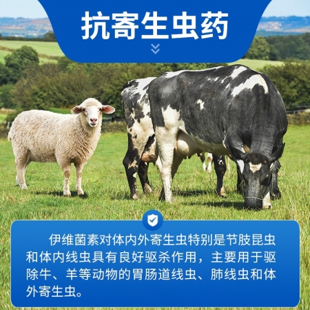 【豬大夫】100片硝氯酚伊維菌素片 獸用 牛羊體內外驅蟲絳蟲線蟲