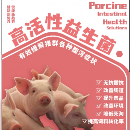 【大有鼎興】 豬腸道健康解決方案 益生菌 高活性益生菌 調理腸道 助消化