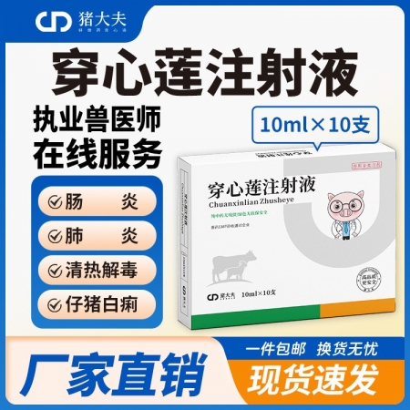 【豬大夫】穿心蓮注射液 病毒性腹瀉腸炎拉肚子仔豬黃白痢清熱解毒咳嗽抗病毒豬瘟