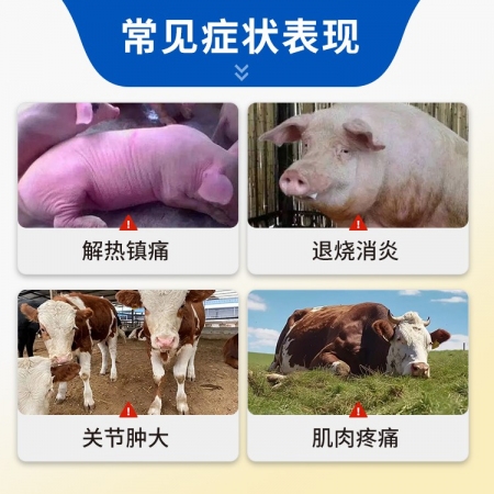 【豬大夫】安乃近注射液 解熱鎮(zhèn)痛抗炎退燒藥關(guān)節(jié)炎止疼藥仔豬鏈球菌發(fā)燒