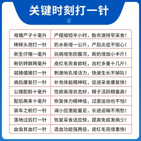 【猪大夫】复方布他磷注射液 抗应激促生长母猪产后恢复病后体能提升 猪牛羊禽通用 源自科特壮同成分