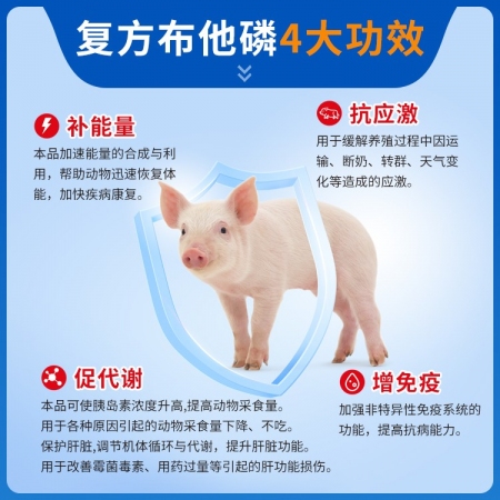【猪大夫】复方布他磷注射液 抗应激促生长母猪产后恢复病后体能提升 猪牛羊禽通用 源自科特壮同成分