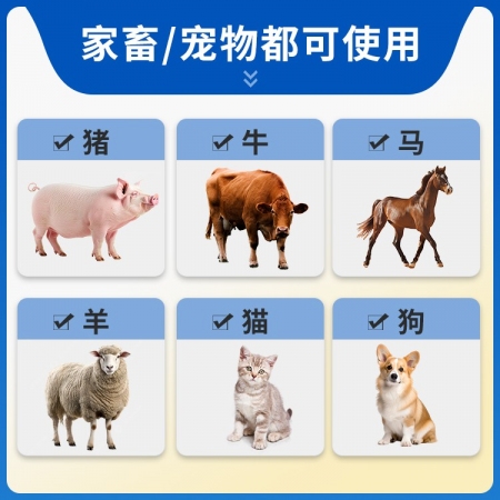 【豬大夫】柴胡注射液，清熱解毒，感冒發(fā)燒，可稀釋頭孢