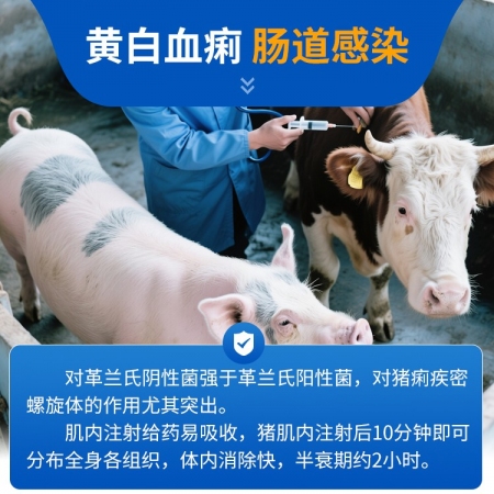 【豬大夫】乙酰甲喹注射液 頑固性腹瀉黃白痢傷寒痢疾回腸炎