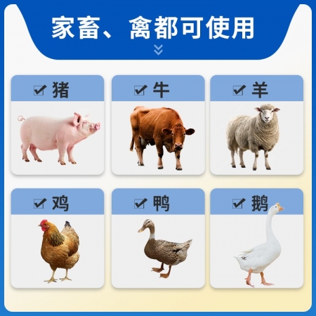 【豬大夫】銀黃提取物注射液 解熱退燒退熱消炎抗病毒流感呼吸道感染金銀花黃芩