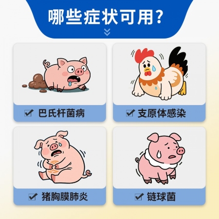 【豬大夫】20%替米考星預混劑 主治豬喘氣病、胸膜肺炎、副嗜血桿菌病、萎縮性鼻和藍耳