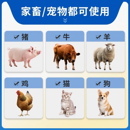 【豬大夫】10%鹽酸林可霉素注射液 母豬產后保健 子宮炎乳房炎 廣譜抗菌