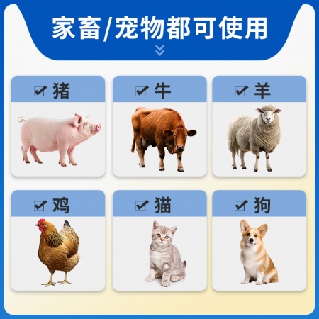 【豬大夫】黃芪多糖注射液 可稀釋頭孢 抗病毒 增強抵抗力 抗感染 產前不吃