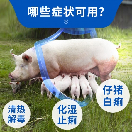 【猪大夫】止痢散100g/袋 拉稀腹泻仔猪黄白痢 过奶止痢 母仔同治 清热解毒化湿