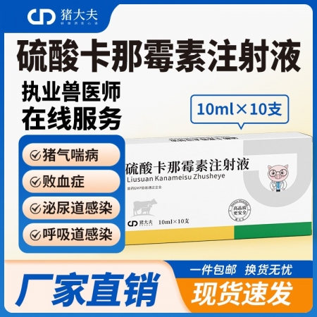 【豬大夫】硫酸卡那霉素注射液抗菌消炎專治大腸桿菌支原體呼吸道泌尿道腸道感染敗血癥