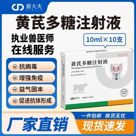 【豬大夫】黃芪多糖注射液 可稀釋頭孢 抗病毒 增強抵抗力 抗感染 產前不吃