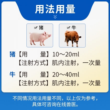 【猪大夫】双黄连注射液兽药 清热解毒，肺热咳喘，风热感冒，孕畜可用