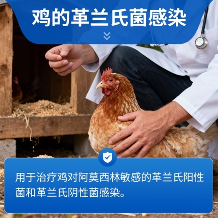 【豬大夫】10%阿莫西林可溶性粉 豬雞牛羊通用 主治呼吸道腸道感染 孕畜可用 飲水方便