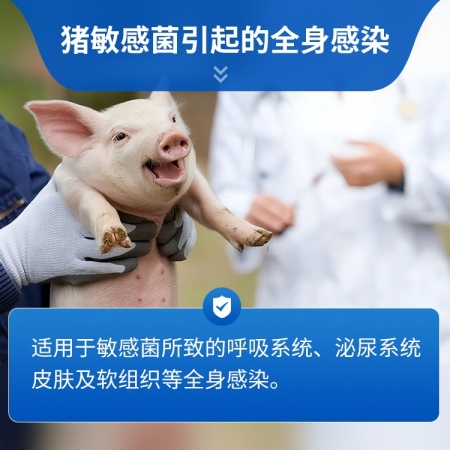 【豬大夫】10%阿莫西林可溶性粉 豬雞牛羊通用 主治呼吸道腸道感染 孕畜可用 飲水方便