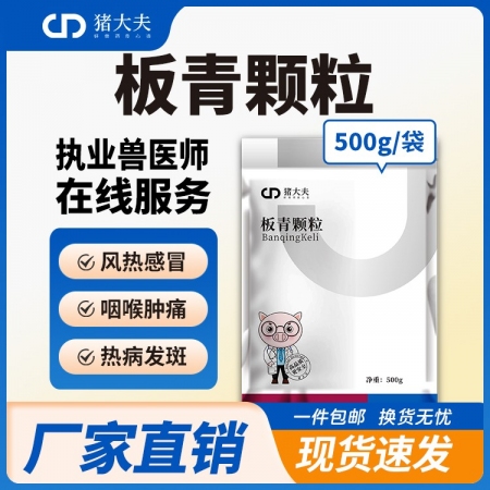 【豬大夫】板青顆粒500g 獸用 豬牛羊雞呼吸道清熱解毒感冒咳嗽