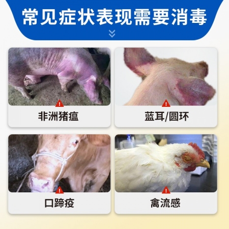 【豬大夫】 過硫酸氫鉀復合物粉1kg  新一代環境消毒液消毒劑 非洲豬瘟口蹄疫 有效氯不低于10%