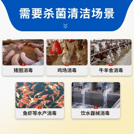 【豬大夫】 過硫酸氫鉀復合物粉1kg  新一代環境消毒液消毒劑 非洲豬瘟口蹄疫 有效氯不低于10%