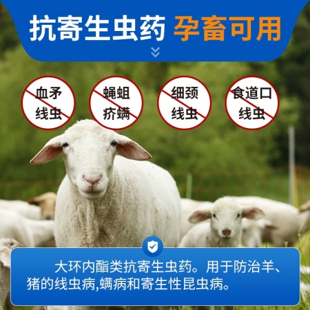 【猪大夫】100ml伊维菌素溶液 兽用 猪羊驱虫药线虫寄生性昆虫