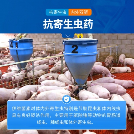 【中龍神力】阿苯達唑伊維菌素粉豬牛羊驅蟲藥雞體內外打蟲藥獸用獸藥