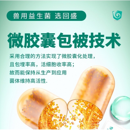 【回盛生物】培育速達枯草芽孢桿菌1kg/袋 混合型飼料添加劑 腸道益生菌促消化健腸道提高免疫力