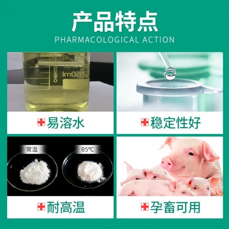 【回盛生物】50%鹽酸多西環(huán)素可溶性粉500g 治療畜禽呼吸道病支原體肺炎支原凈喘氣病強力霉素
