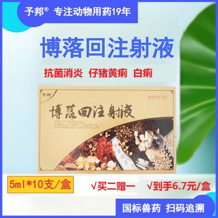 予邦獸藥博落回注射液5ml獸用 國標可追溯 抗菌消炎 仔豬黃痢 白痢