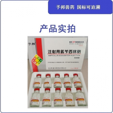 【予邦】2g注射用氨芐西林鈉10支 獸用獸藥 國標可追溯 抗生素抗菌細菌感 豬牛羊馬犬 孕畜可用