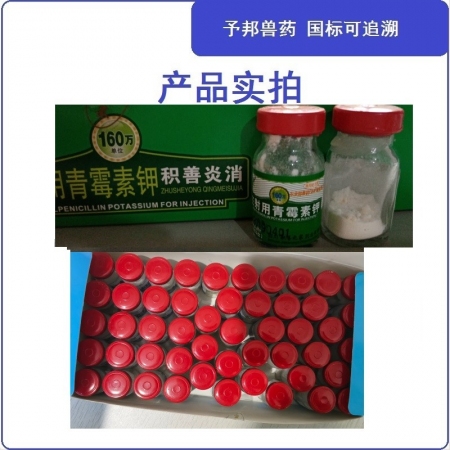 【予邦】160萬單位注射用青霉素鉀50支獸用獸藥 國標可追溯 抗生素抗菌細菌感染豬牛羊馬犬孕畜可用
