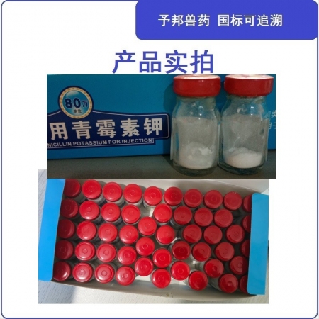 【予邦】80萬單位注射用青霉素鉀50支獸用獸藥 國標可追溯 抗生素抗菌  豬牛羊馬犬 孕畜可用