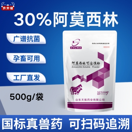 【夯夯豬】30%阿莫西林可溶性粉 高含量 廣譜抗菌 可用于呼吸道消化道及全身感染