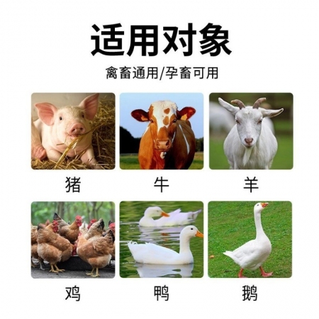 【九天生物】多維鈣+磷1kg/袋豬用微量元素鈣磷十八補(bǔ)異食癖吃吐喝尿咬耳咬尾母豬保健補(bǔ)鈣抗應(yīng)激添加劑
