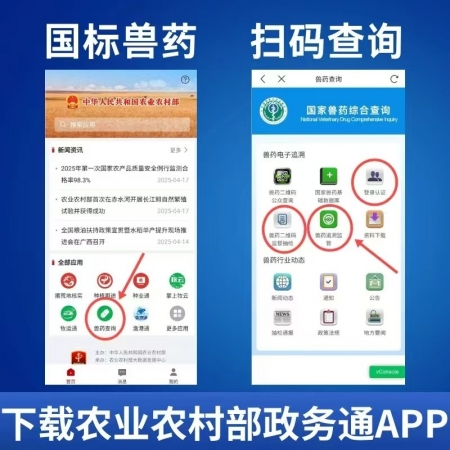 【夯夯猪】过硫酸氢钾复合物粉  速灭非瘟 可带猪消毒 无毒副 孕畜可用