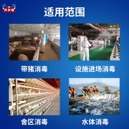 【夯夯猪】过硫酸氢钾复合物粉  速灭非瘟 可带猪消毒 无毒副 孕畜可用