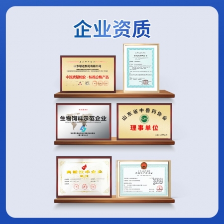 【聯達】國標板青顆粒 100g  風熱感冒 板藍根大青葉 抗病毒增免 感冒咳嗽