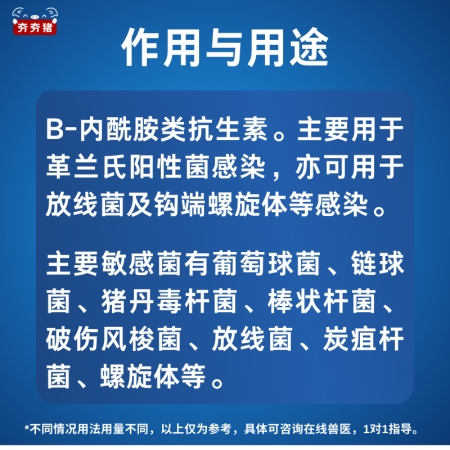 【夯夯豬】普魯卡因青霉素注射液 抗菌消炎 消腫鎮痛  油溶混懸液工藝  300萬單位國標獸藥
