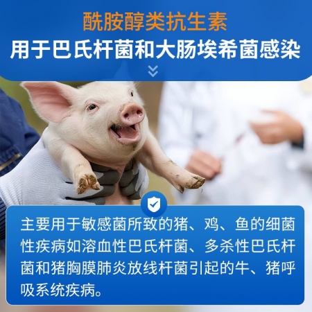 【豬大夫】 20%氟苯尼考粉  ，各種傳染性胸膜肺炎豬肺疫副豬等呼吸道疾病